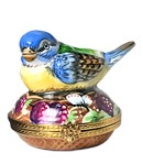 Colorful bird on nest with egg inside